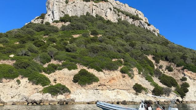 Porto SanPaolo: Grand Tour dell'Arcipelago di Tavolara