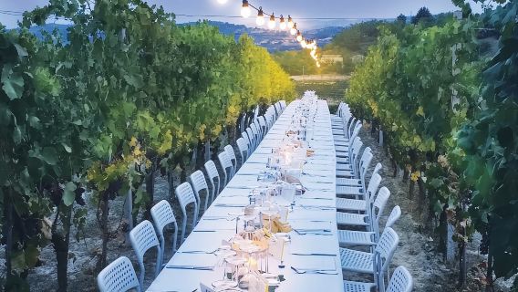 Montepulciano: Tour por una bodega toscana con cata de vinos y comida