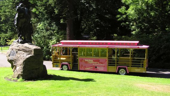 Gray Line Pink Trolley 2-Day Hop-On Hop-Off Tour Ticket