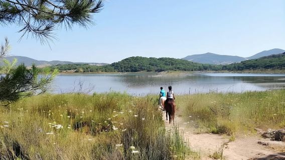 Alghero: Lake Baratz Guided Horseback Ride