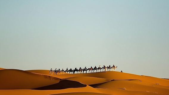 Night In Merzouga Desert, Camel Ride, Tent With Private Bathroom