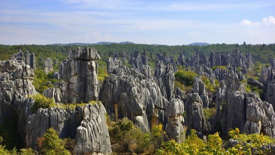 Forêt de pierres de Kunming + Déjeuner de canard rôti à Yiliang + Visite privée musulmane du village et de la mosquée Hui