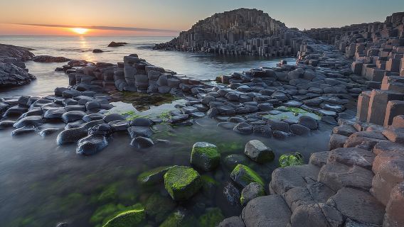 Giants Causeway, Rope Bridge, Carrickfergus Castle and Dark Hedges Tour