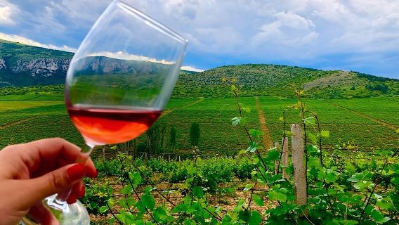 Private Weintour zum Weingut Chateau Sopot ab Skopje