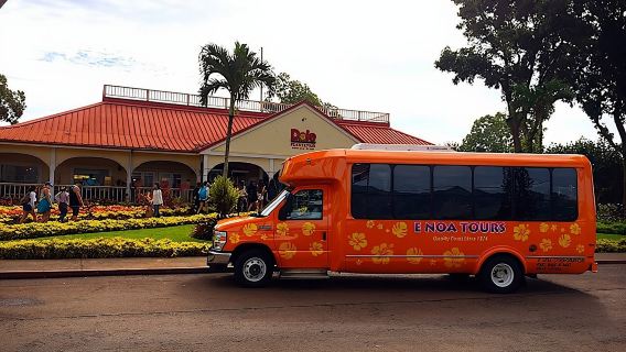 Majestic Circle Island Tour with Lunch