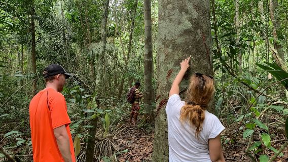 Ein ganzer Tag im Dschungel