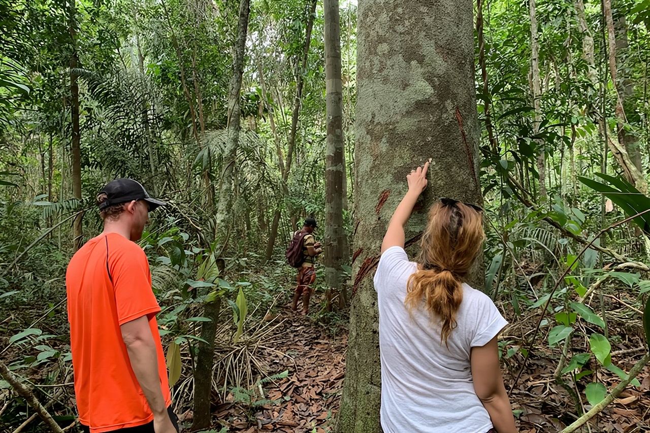 A Whole Day in the Jungle