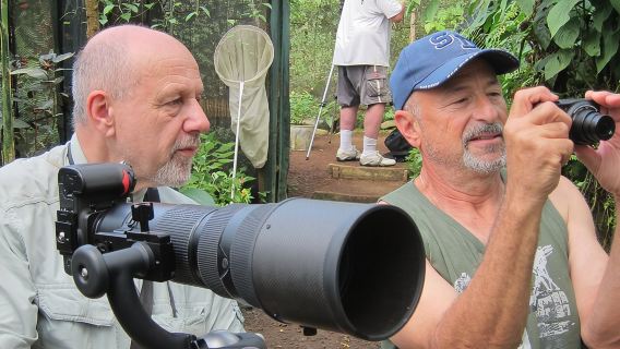 Guided Butterfly Conservatory Tour in Costa Rica