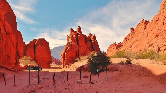 From Salta: Full-Day Tour to Cafayate, Land of Wines