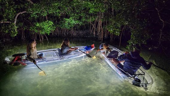 Anna Maria Island - Clear Kayak LED Night Glass Bottom Tour