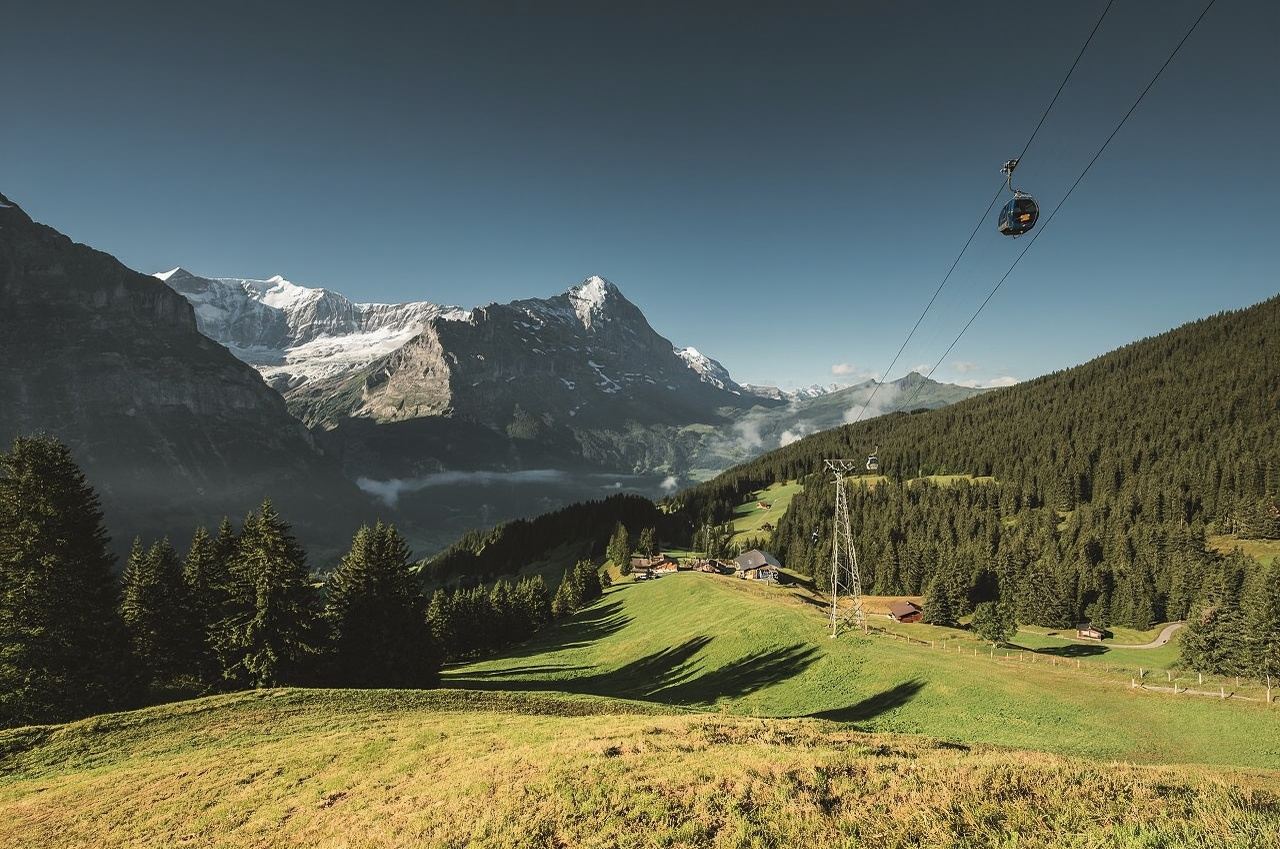 Switzerland Day Tour: First Mountain Peak Adventure in Grindelwald (English Group)