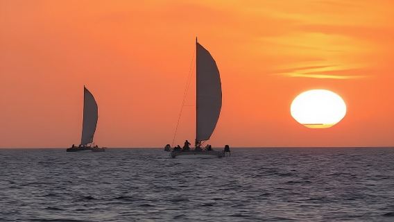 Premium Half-Day Private Catamaran Experience in Minorca