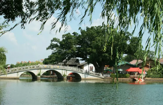 廣東韶關珠璣古巷+梅關古道一日遊【純玩包車私家團+上門接送】