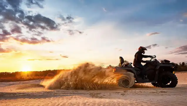Evening Desert Safari with BBQ Dinner