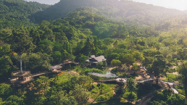 Tour por el Santuario Ético del Reino de los Elefantes de Samui y la Pasarela Aérea