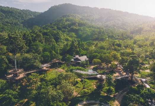 Samui Elephant Kingdom Ethical Sanctuary and Skywalk Tour