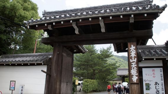 Kyoto: Arashiyama-Bambus, Matcha, Affen & Tempel-Tour