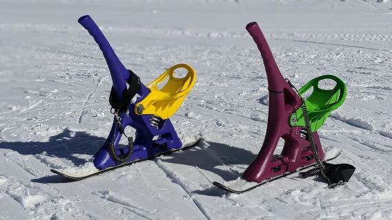 1 Day Tour: Snow Monkeys & Snow Fun in Shiga Kogen