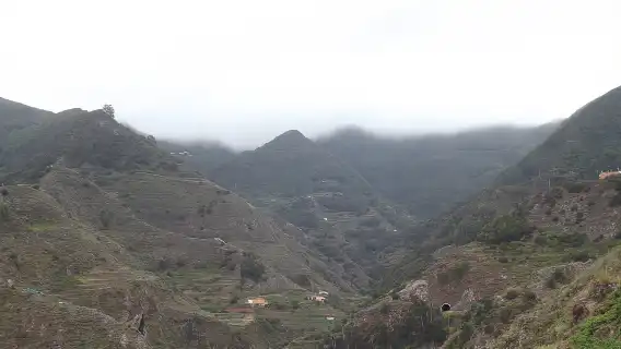 Santa Cruz de Tenerife: 2-Hour Hiking Tour in Anaga Forest