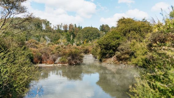 Whakarewarewa: Selbstgeführte Geothermie-Wanderwege