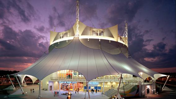 Orlando: Pas Masuk Cirque du Soleil "Drawn to Life".