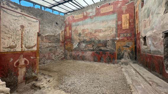 From Positano: Pompeii and Vesuvius Guided Tour