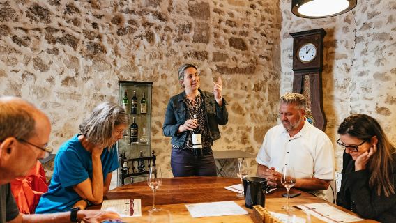 Bordeaux : excursion d'une journée à Saint-Émilion avec dégustation de vins et déjeuner