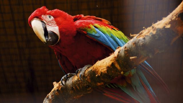 Прага: прогулка на лодке в зоопарк и входной билет