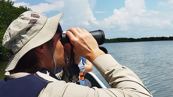 Cartagena: FISHERMEN'S ISLAND IN THE MANGROVES by canoe