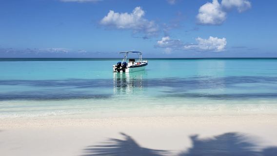 Saona Island Tour von Santo Domingo mit Mittagessen