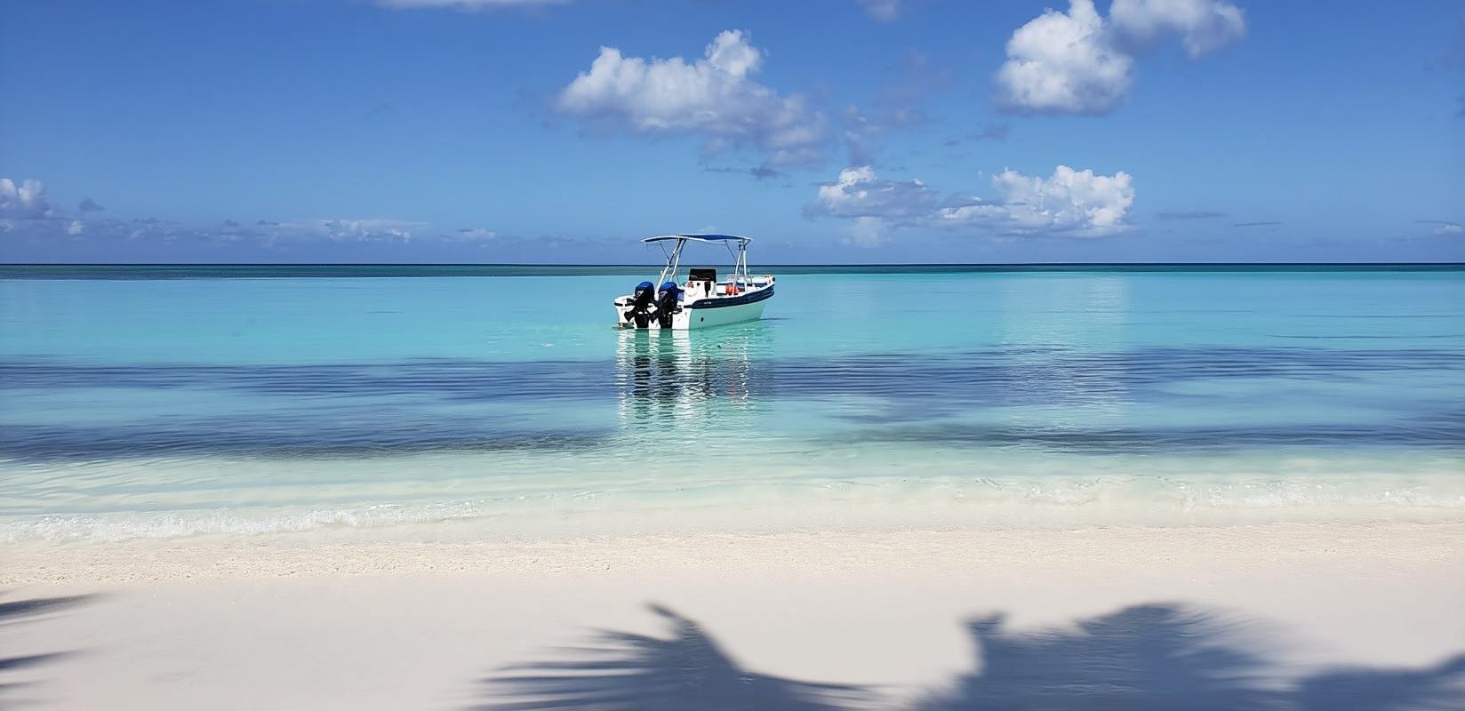 Santo Domingo: Saona Island Catamaran/SpeedBoat and Lunch