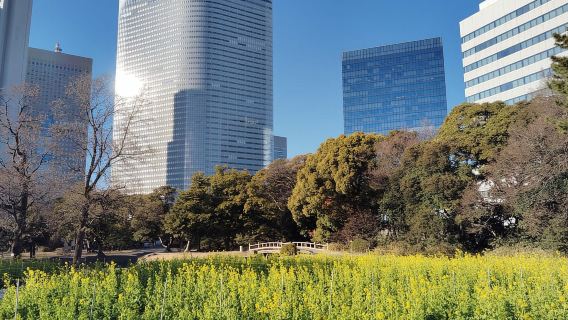 Tokyo: Hama-rikyu Garden Guided Tour with Entry Ticket