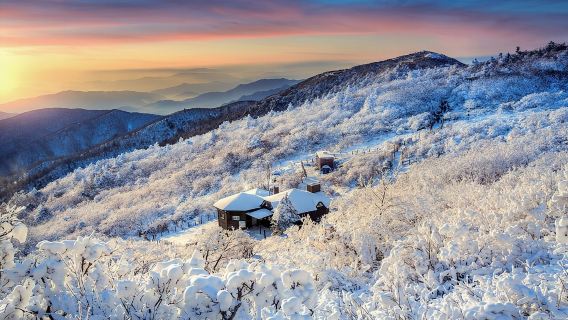 首爾出發的雪嶽山和駱山寺一日遊