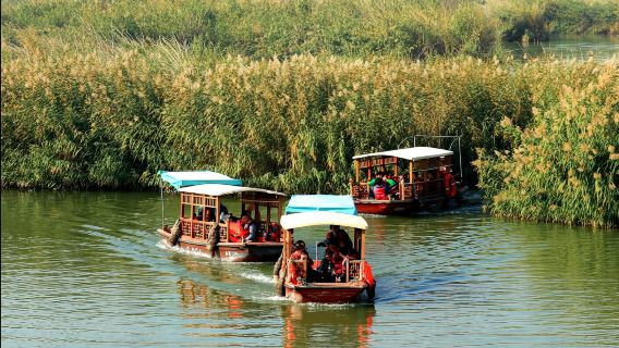 寧夏銀川水洞旅遊區+藏兵洞+沙湖生態旅遊區1日遊