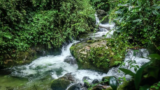 騰衝高黎貢山徒步一日遊丨獨立私家團+荒野廚房+瀑布群+野溫泉