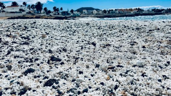 โลบอส, ดูนส์, หาดป๊อปคอร์น: กลุ่มเล็ก 8 คน พร้อมไกด์!