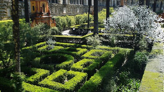 Sevilla from Málaga, private tour