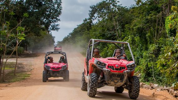 ทัวร์ Jungle Buggy จาก Playa del Carmen รวมว่ายน้ำในเซโนเต
