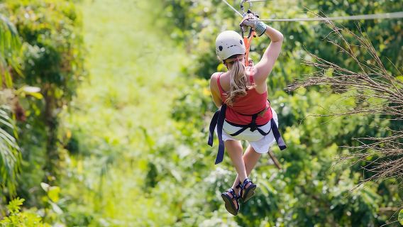 Zipline Canopy Tour & Tortuguero Canal Boat tour. Shore Excursion from Limon