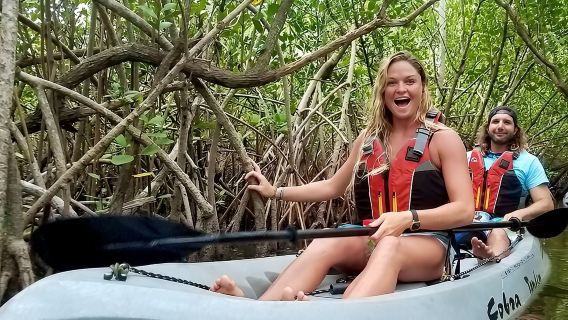Tunnels de mangrove, dauphins, excursion avec les lamantins : l'activité numéro 1 à Cocoa Beach