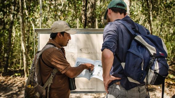 Excursión a la antigua ciudad maya de Calakmul desde Xpujil