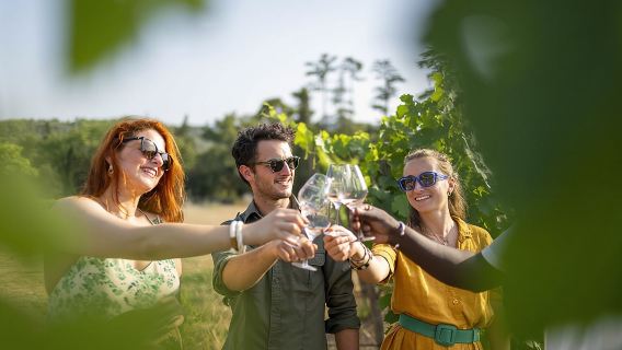 Provence Wine Tour - Small Group Tour from Nice