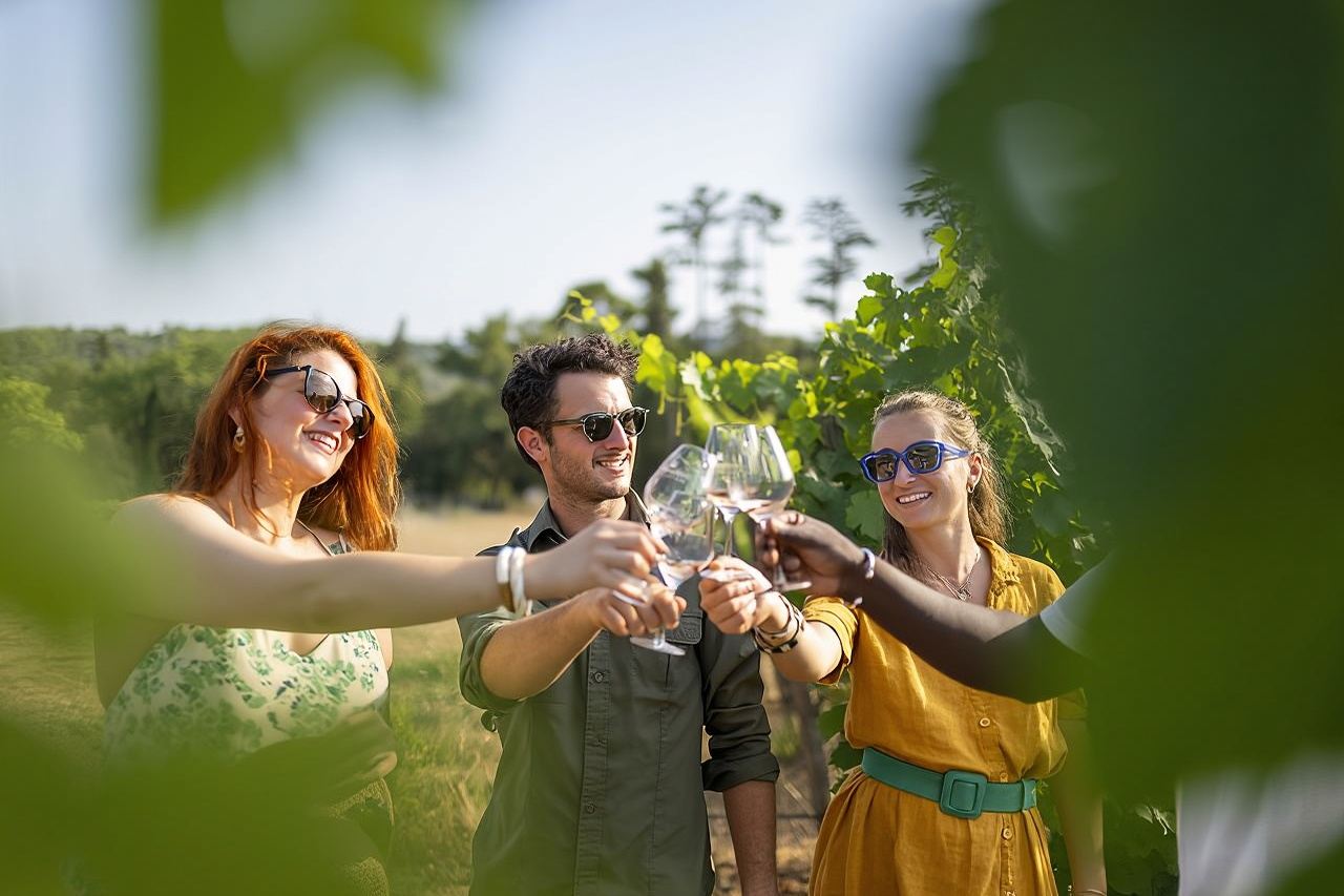 Provence Wine Tour - Small Group Tour from Nice