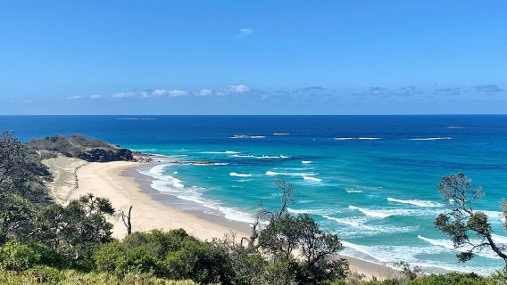 Tur Petualangan Satwa Liar Pulau North Stradbroke dari Brisbane