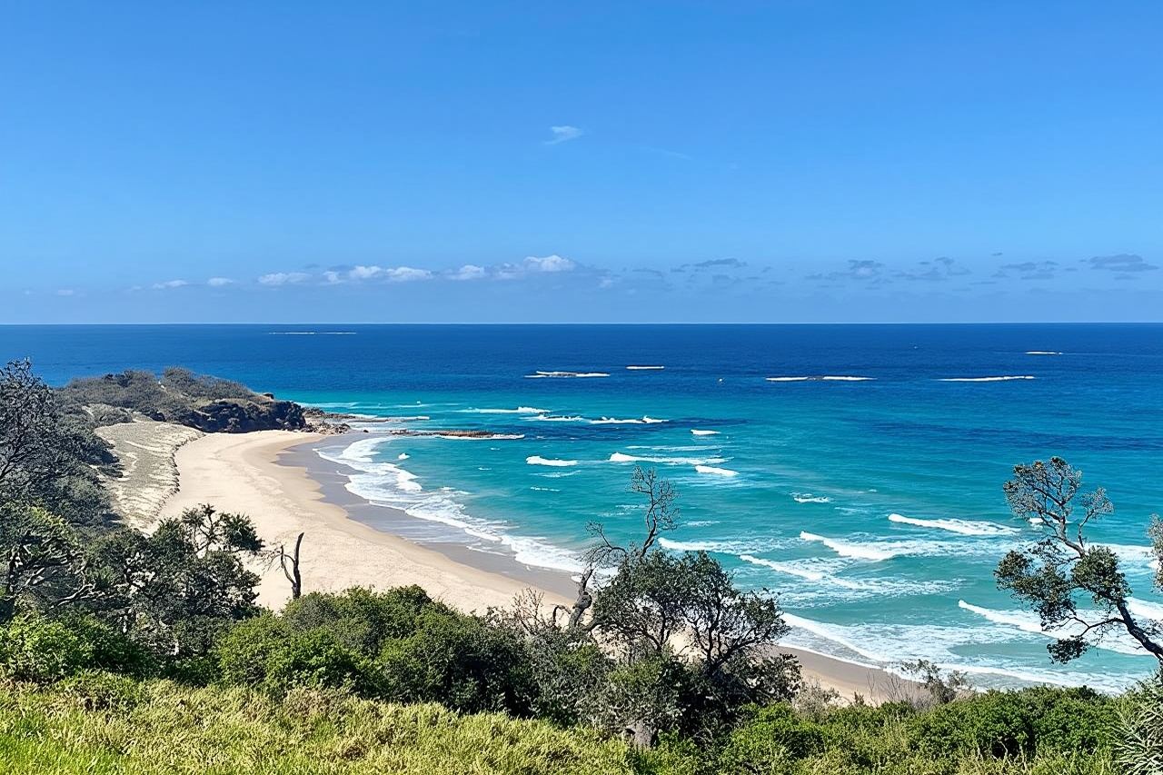 Tur Petualangan Satwa Liar Pulau North Stradbroke dari Brisbane