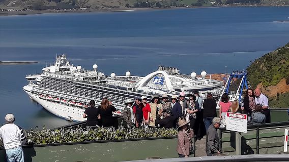 Dunedin Nature & City Tour – Full Day Cruise Excursion