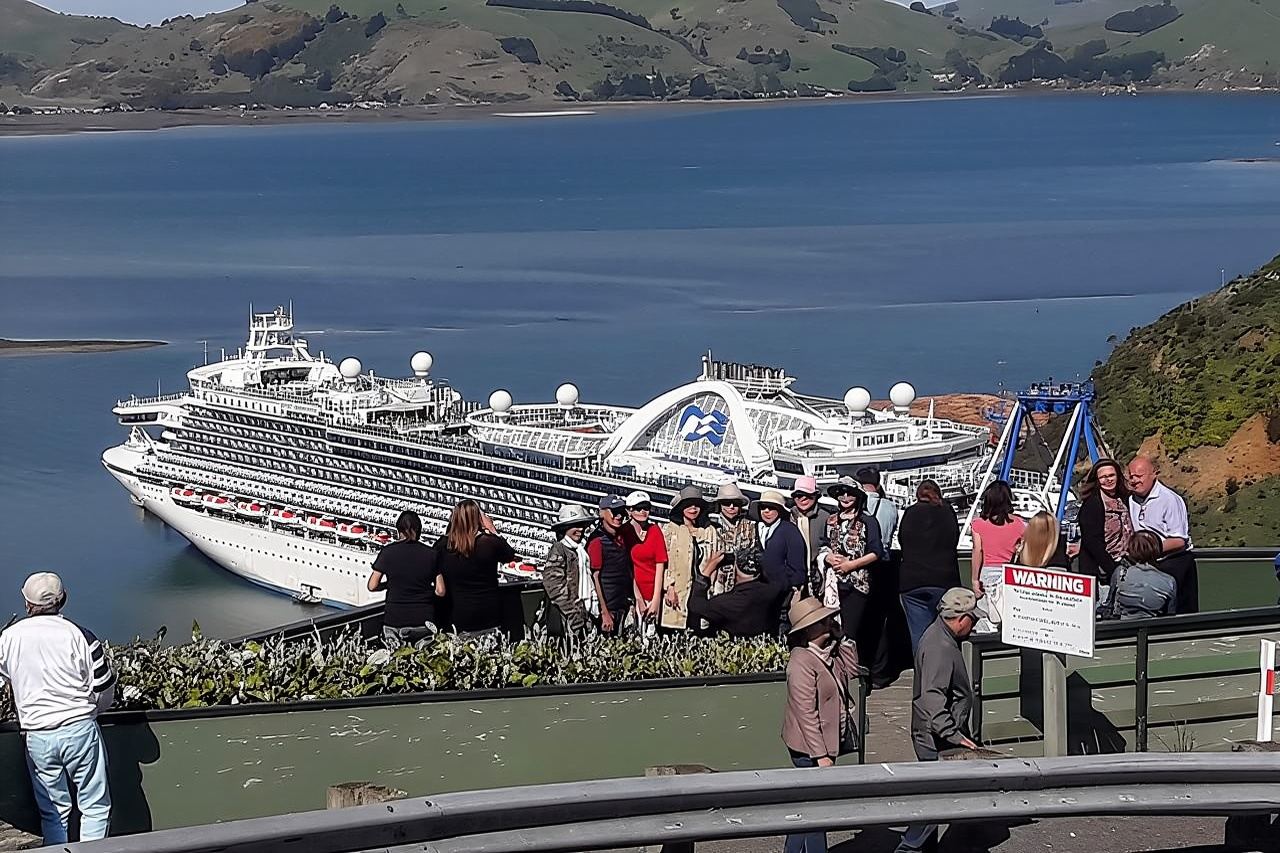 Dunedin Nature & City Tour – Full Day Cruise Excursion