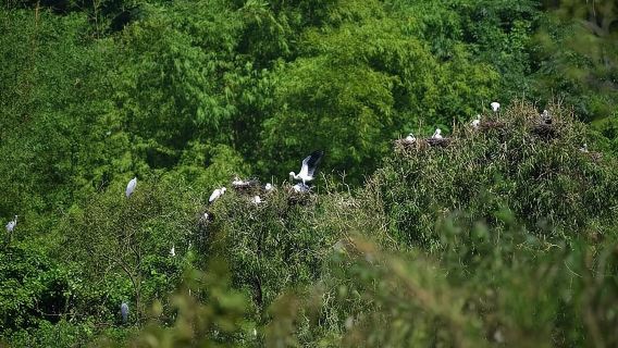 ทัวร์เดินป่าอุทยานแห่งชาติกุ๊กเฟืองเต็มวัน