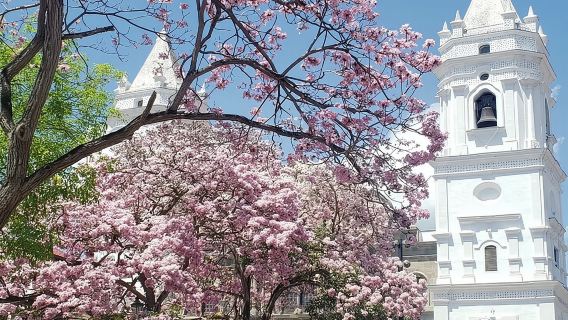 Lawatan Persinggahan di Panama: Bandar dan Terusan