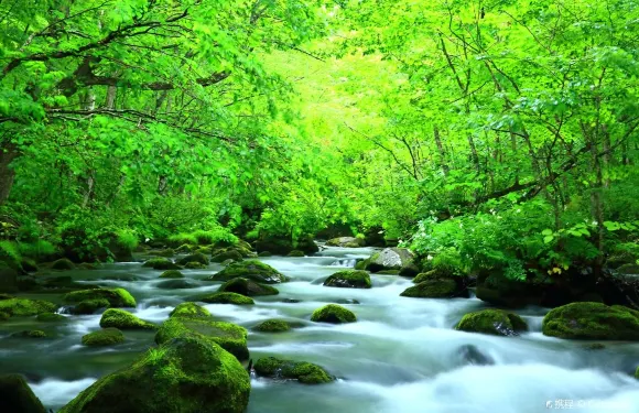 日本岩手出發：小岩井農場+龍泉洞+宮澤賢治童話村+中尊寺包車